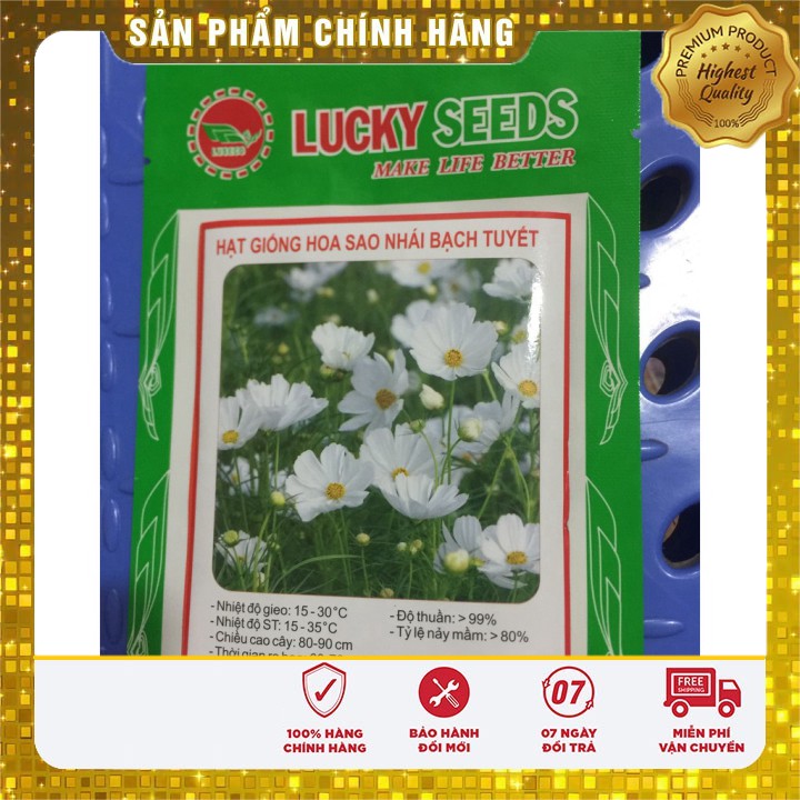 Hạt giống hoa sao nhái bạch tuyết LUCKY SEEDS