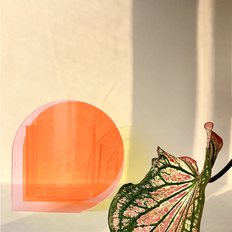 Hộp Đựng Hoa Để Bàn Trang Trí Nghệ Thuật Thời Trang