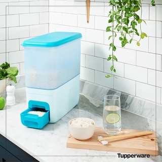 THÙNG GẠO RICE SMART AQUA 10KG