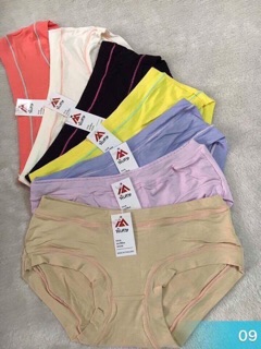 Combo 20 chiếc quần Cotton ren cao cấp