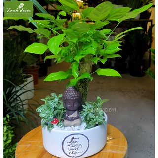 Tượng phật sứ mini decor trang trí