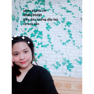 (tặng kèm dụng cụ) combo 10m giấy dán tường gạch dây leo 3d