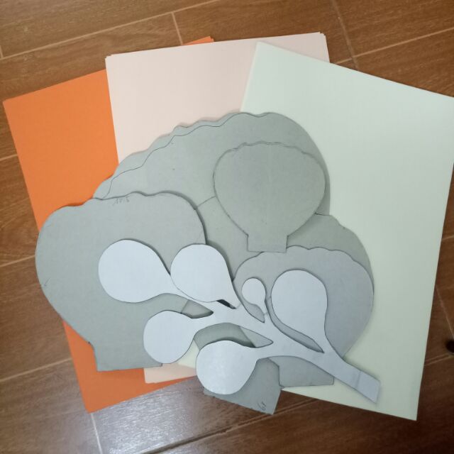 Giấy mĩ thuật, khuôn cánh