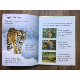 Usborne Beginners Series Science Collection 10 Books.