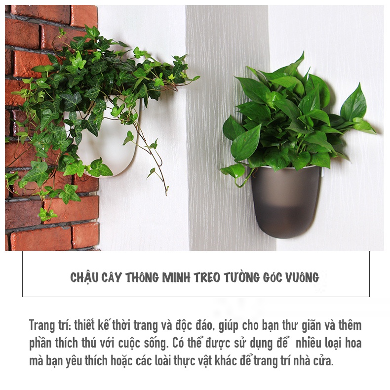 Chậu cây treo tường Oliz K07 - Chậu trồng cây tự tưới, dùng cho tường vuông góc 90 độ (MÀU TRẮNG)