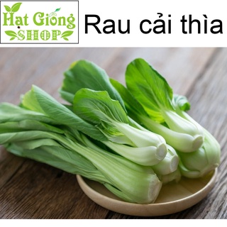 Hạt giống cải thìa