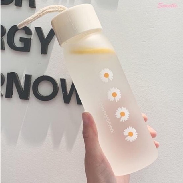 Bình nước hoa cúc