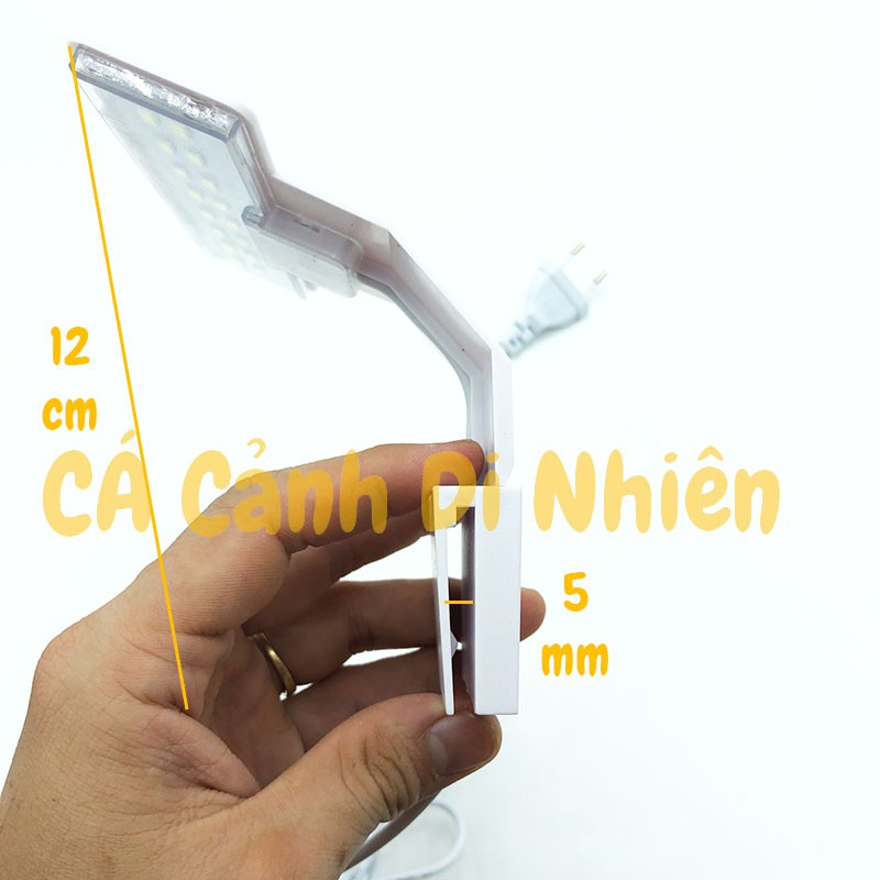Đèn LED màu trắng, đổi màu kẹp thành hồ cá thủy sinh size 15-25 cm - Đèn hồ bể cá mini để bàn văn phòng M-180