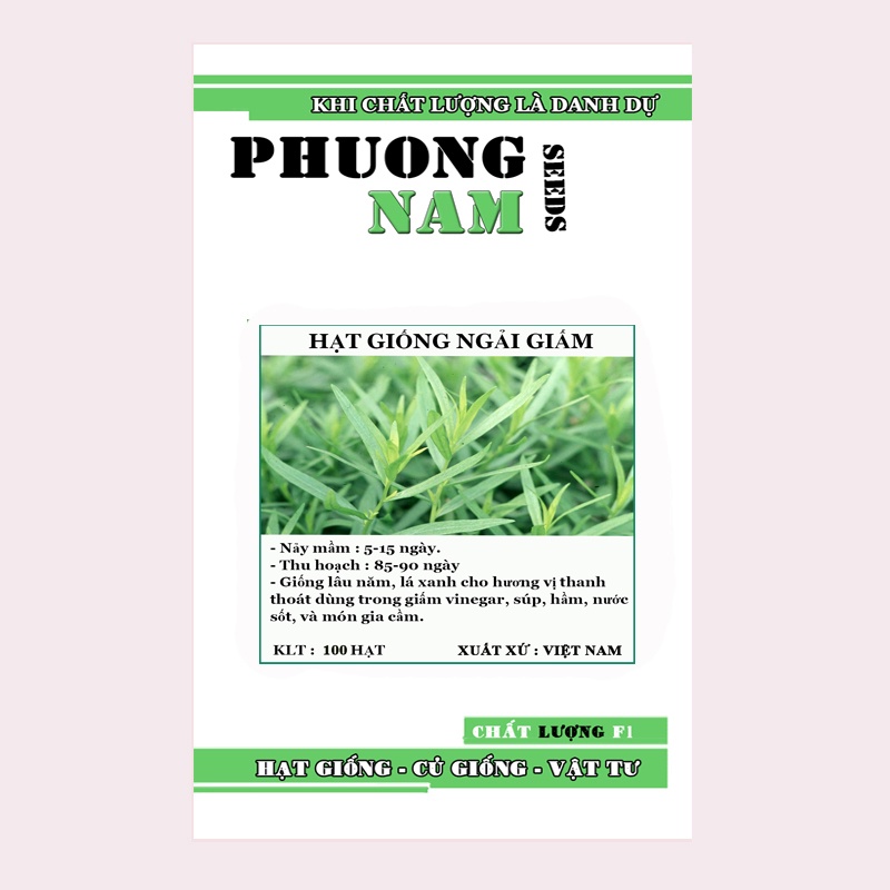 100H - HẠT GIỐNG RAU GIA VỊ NGẢI GIẤM