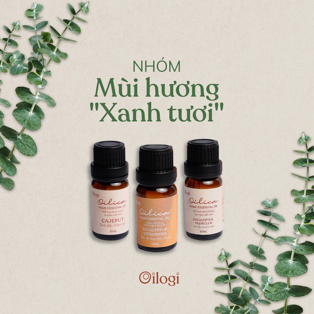 Tinh dầu thiên nhiên nguyên chất Oilogi 10ML | Tự chọn mùi | Có kiểm nghiệm đạt chuẩn