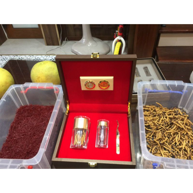 Đông Trùng Hạ Thảo Na Khúc Tây Tạng Hộp 40g 120 Con