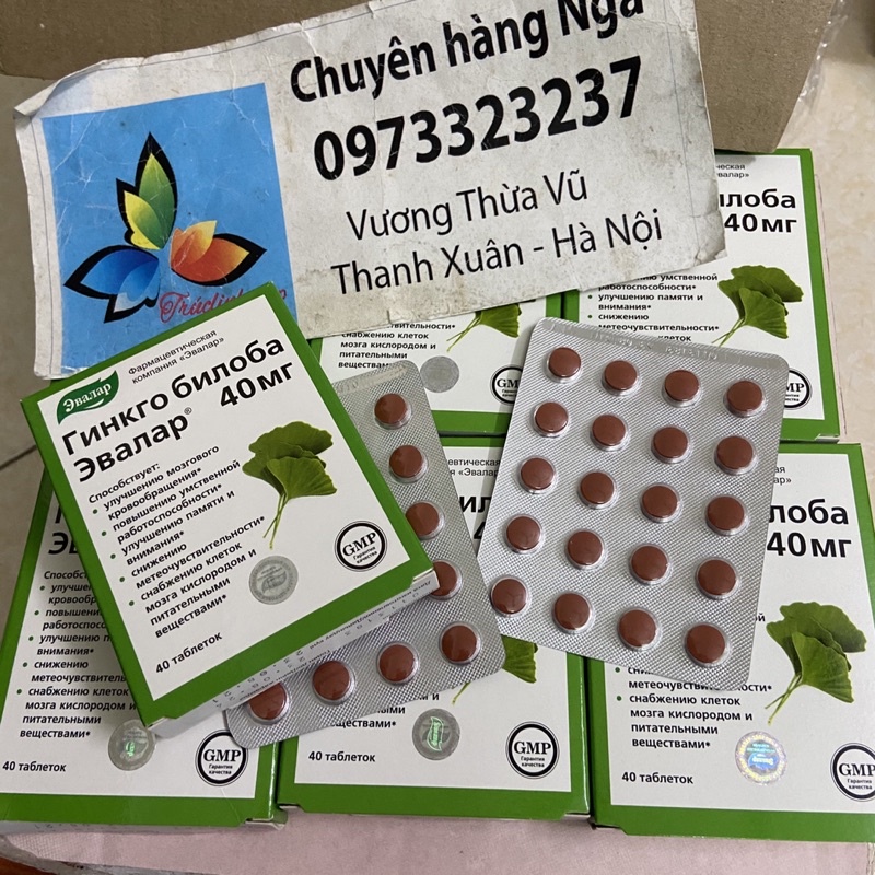 Bổ não Nga Ginkgo biloba nga 40 viên