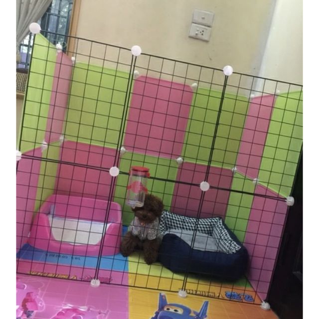 Combo quây cũi cho cún