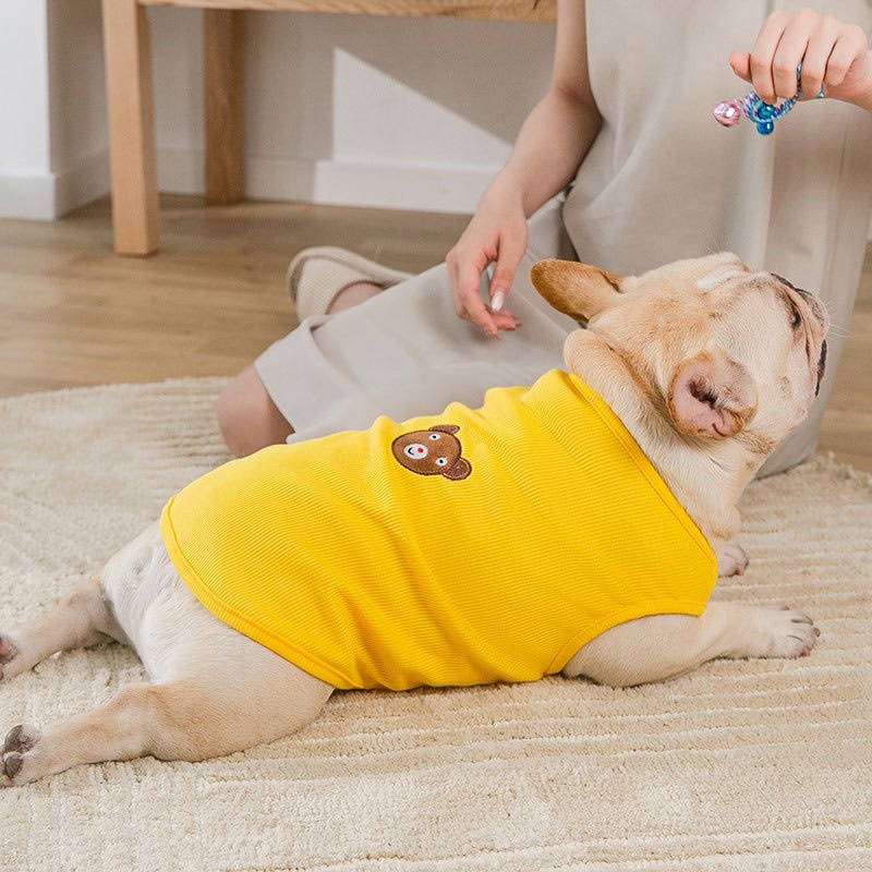 áo thun gân thêu hình gấu cho chó mèo