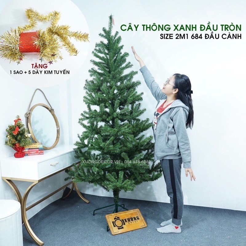 CÂY THÔNG ĐẦU TRÒN 1,2M-2,1M TẶNG KÈM NGÔI SAO VÀ DÂY KIM TUYẾN