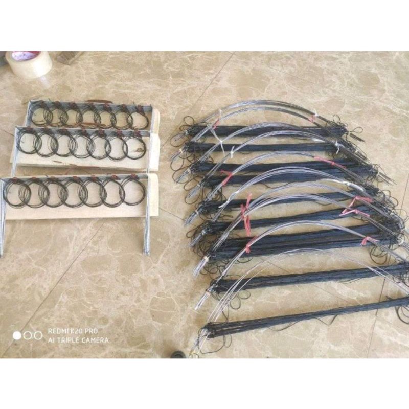 Cung chim cút mới nhất 2021