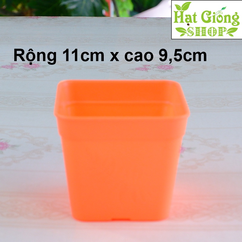 Chậu nhựa vuông 11x9,5 phù hợp trồng sen đá,xương rồng , làm khay ươm