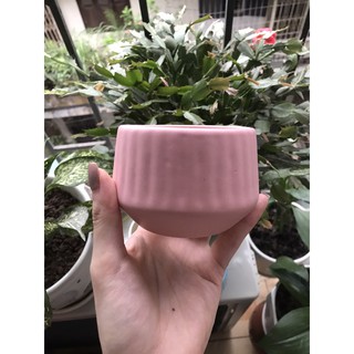 Chậu sứ bát tràng mini decor siêu xinh