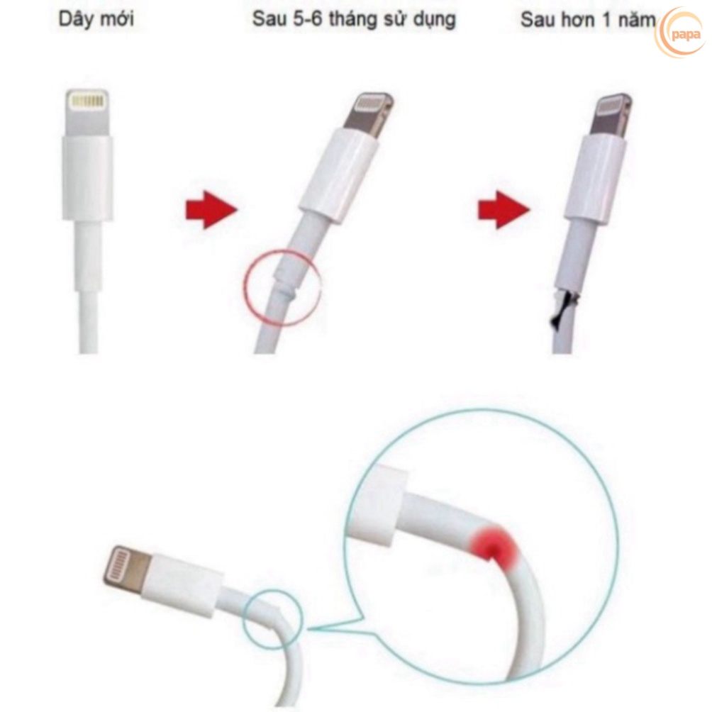 Thú Bảo Vệ Đầu Cáp Sạc, Nút Dây Tai Nghe Hình Thú Hàng Chuẩn Đẹp Nhiều Mẫu Giao Ngẫu Nhiên