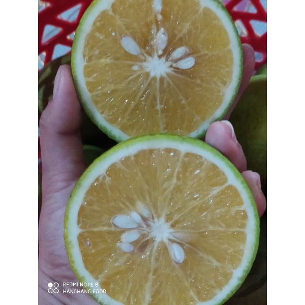 Cam Xoàn tươi nguyên Trái Vườn Nhà Trồng Combo 3kg