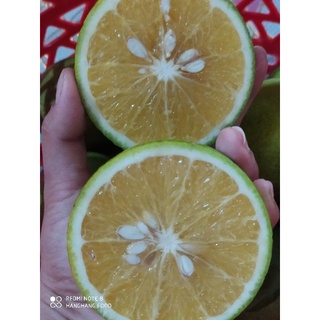 Cam Xoàn tươi nguyên Trái Vườn Nhà Trồng 1kg
