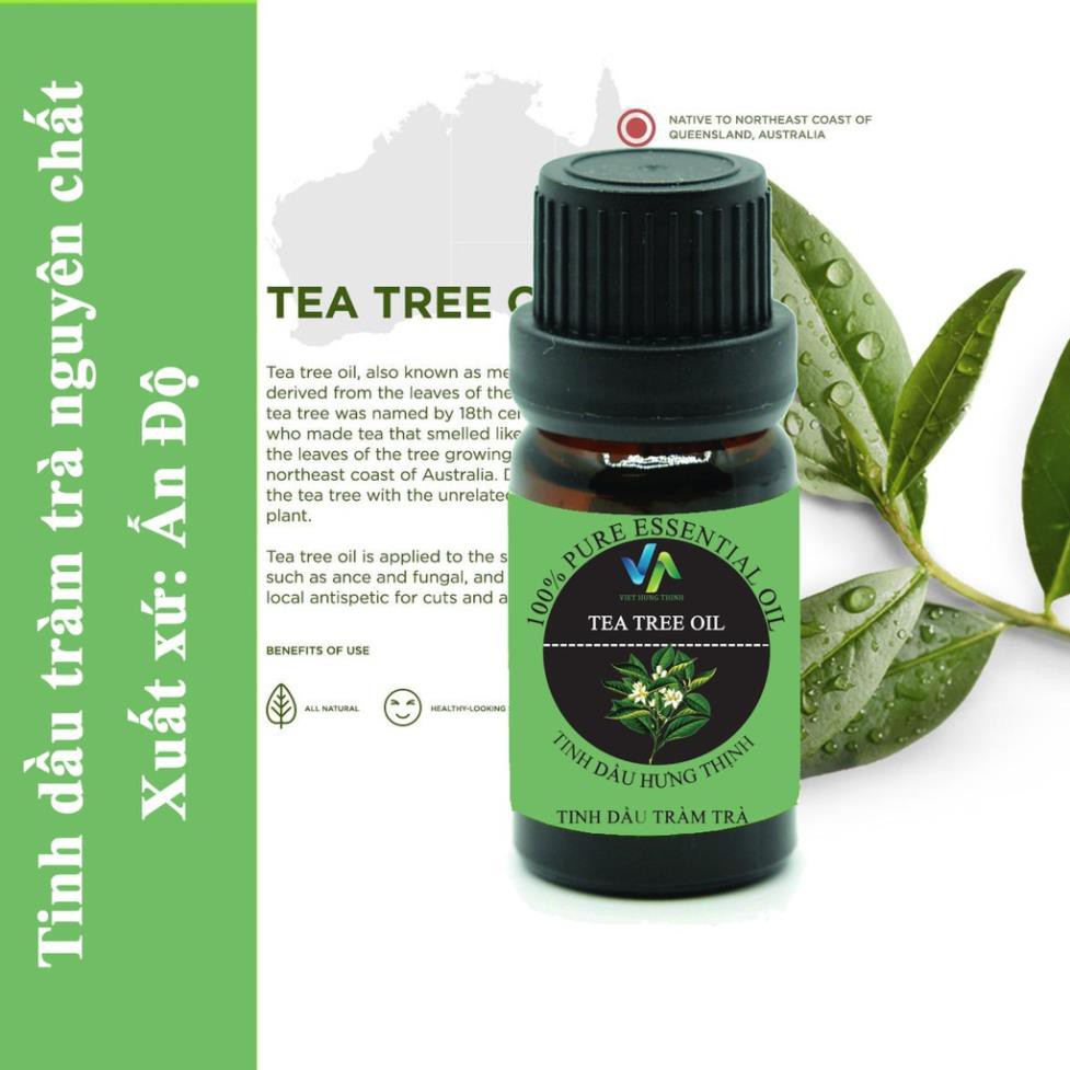 tinh dầu tràm trà