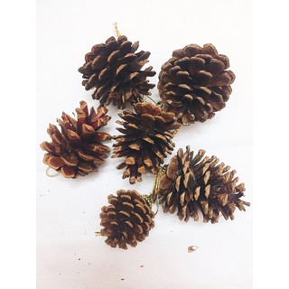 Bộ 05 trái thông dây treo , trang trí giáng sinh, trang trí cây thông noel, đồ handmade phong cách vintage