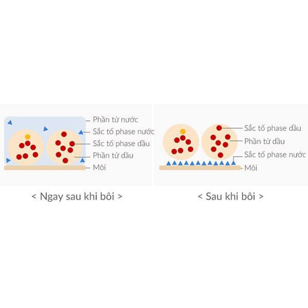 Son Tint (Trả Sale-Gom Order) | BigBuy360 - bigbuy360.vn