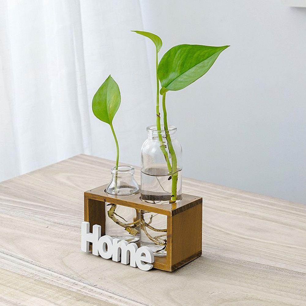 Chậu Trồng Cây Thủy Canh Khung Gỗ Đơn Giản Trang Trí Nhà Cửa
