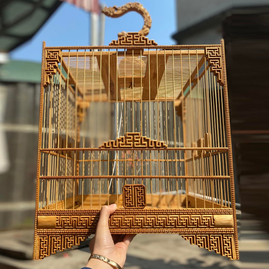 Lồng chim Jambul - TL17