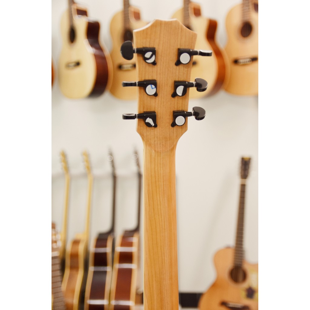 Guitar Acoustic | Gỗ Mahogany (Bắc Phi) | DT-A25c3 | Tặng kèm phụ kiện