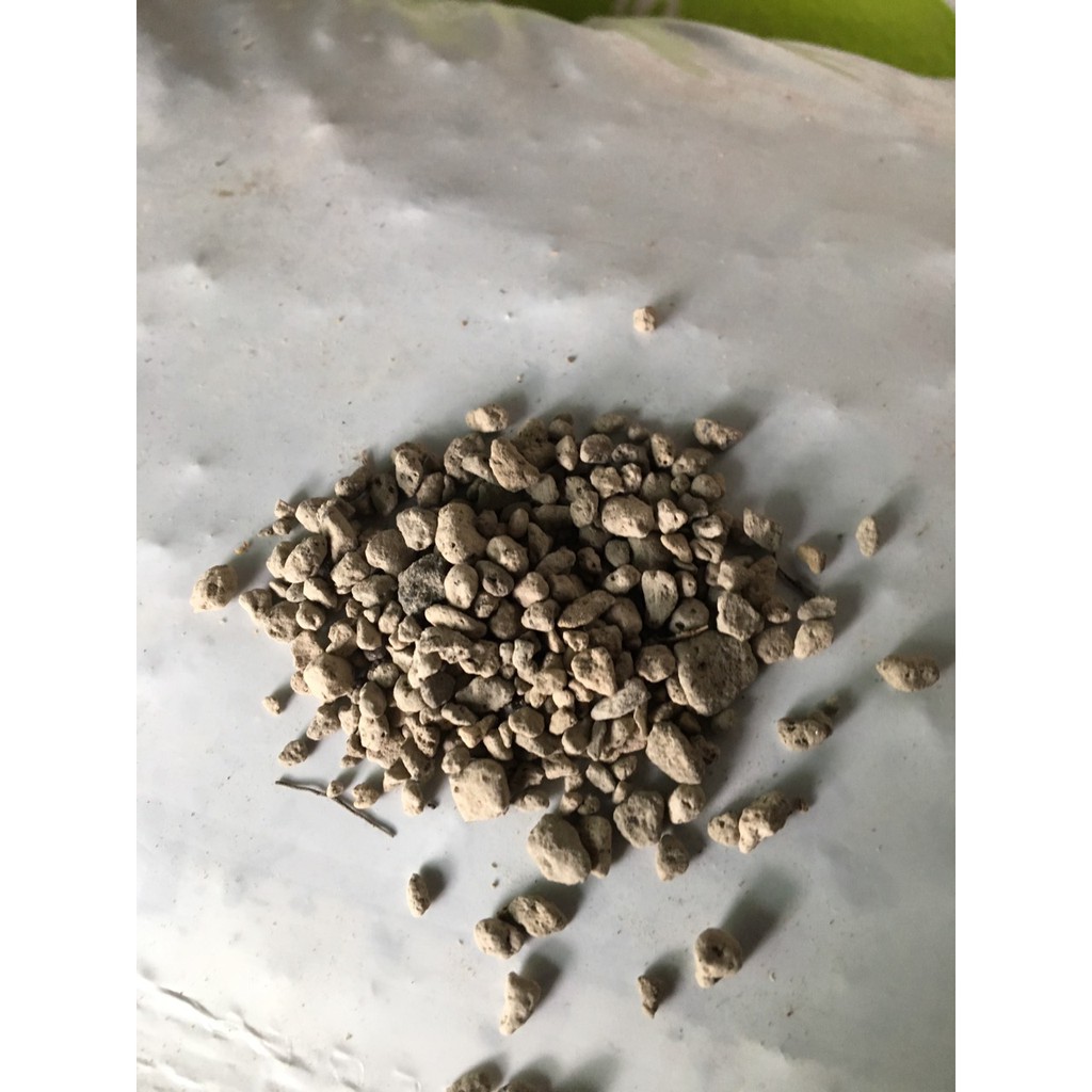 Đá núi lửa Pumice Indonesia 5 kg cỡ 5 đến 8 mm