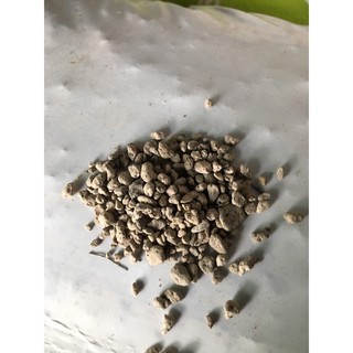 Đá núi lửa Pumice Indonesia 5 kg cỡ 5 đến 8 mm
