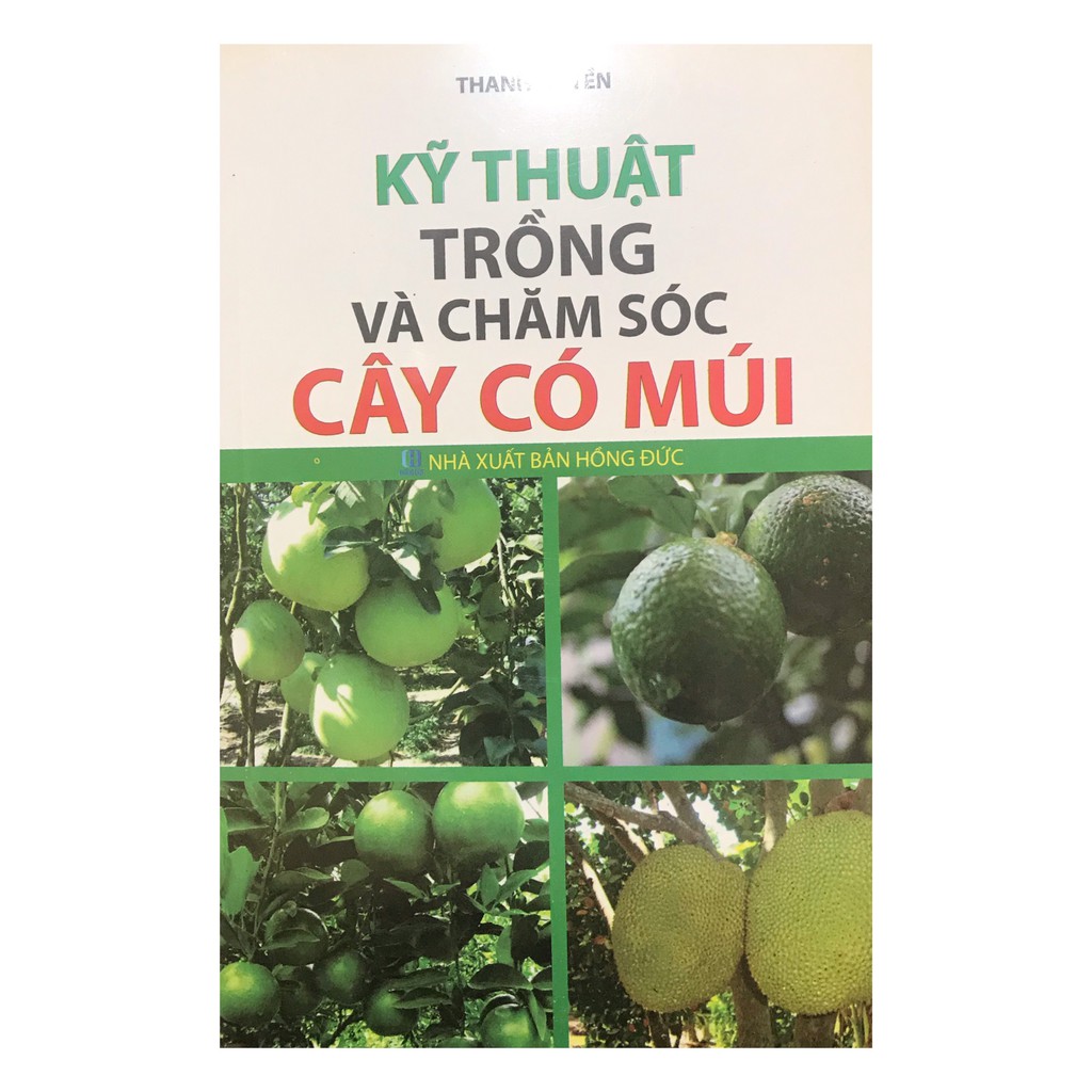 Sách - Kỹ thuật trồng và chăm sóc cây có múi