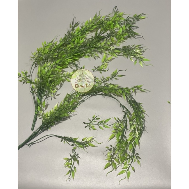 Cành Liễu Lá Liễu Trên Tay Phật