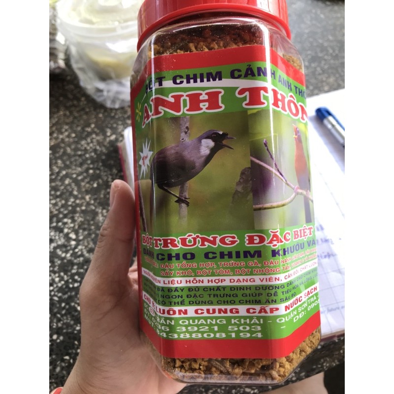 Cám Anh Thông mi, khướu
