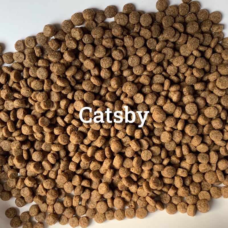 Hạt thức ăn khô Catsby cho mèo 1kg