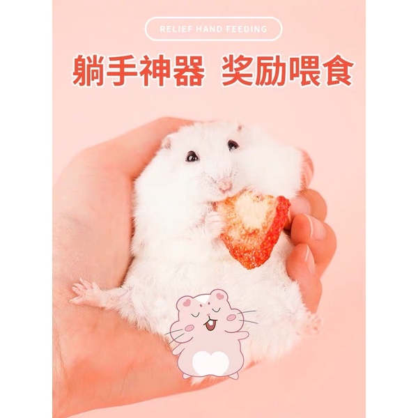 Dâu sấy cho hamster. Thức ăn bổ sung cho hamster/sóc/thỏ/chinchilas, dâu sấy jonsanty
