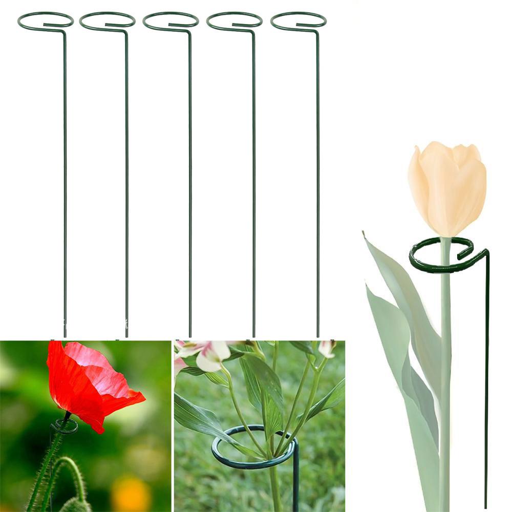 Vòng Hỗ Trợ Trồng Cây Thân Dài Malcom