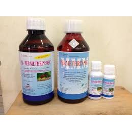  THUỐC DIỆT MUỖI VÀ CÔN TRÙNG PERMETHRIN 50EC