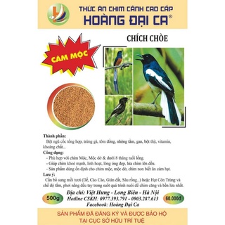 Cám mộc chích choè Hoàng Đại Ca