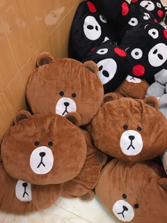 Túi sưởi điện gấu Brown