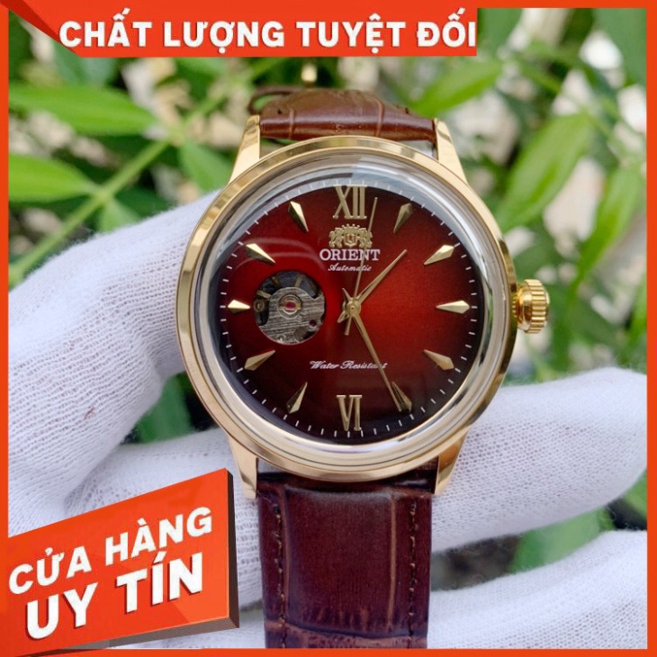 Đồng Hồ Cơ Orient Lộ Cơ Bảo Hành 12 Tháng