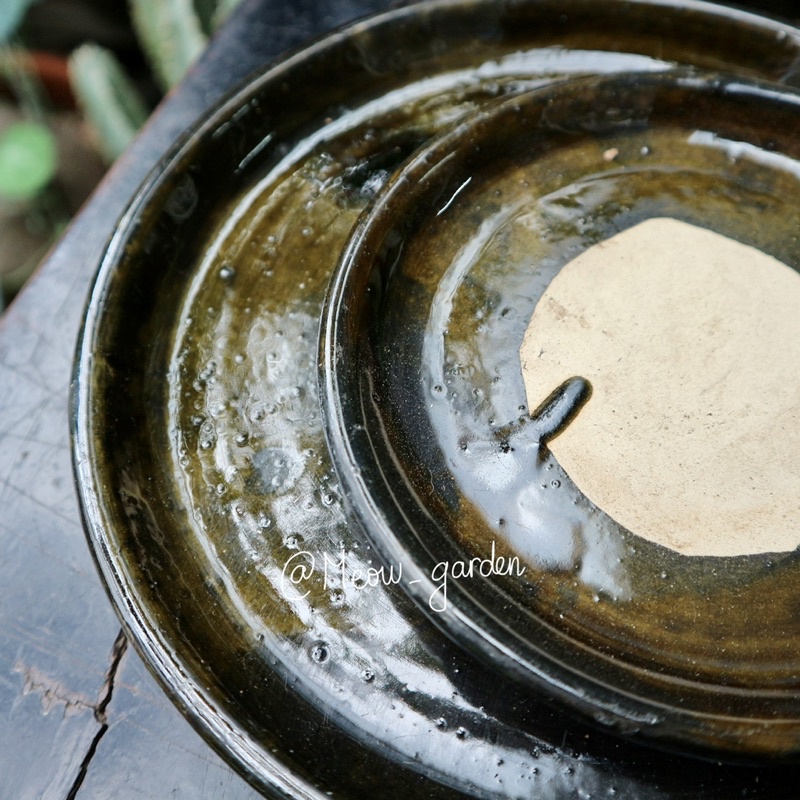 Dĩa lót chậu  nhiều size