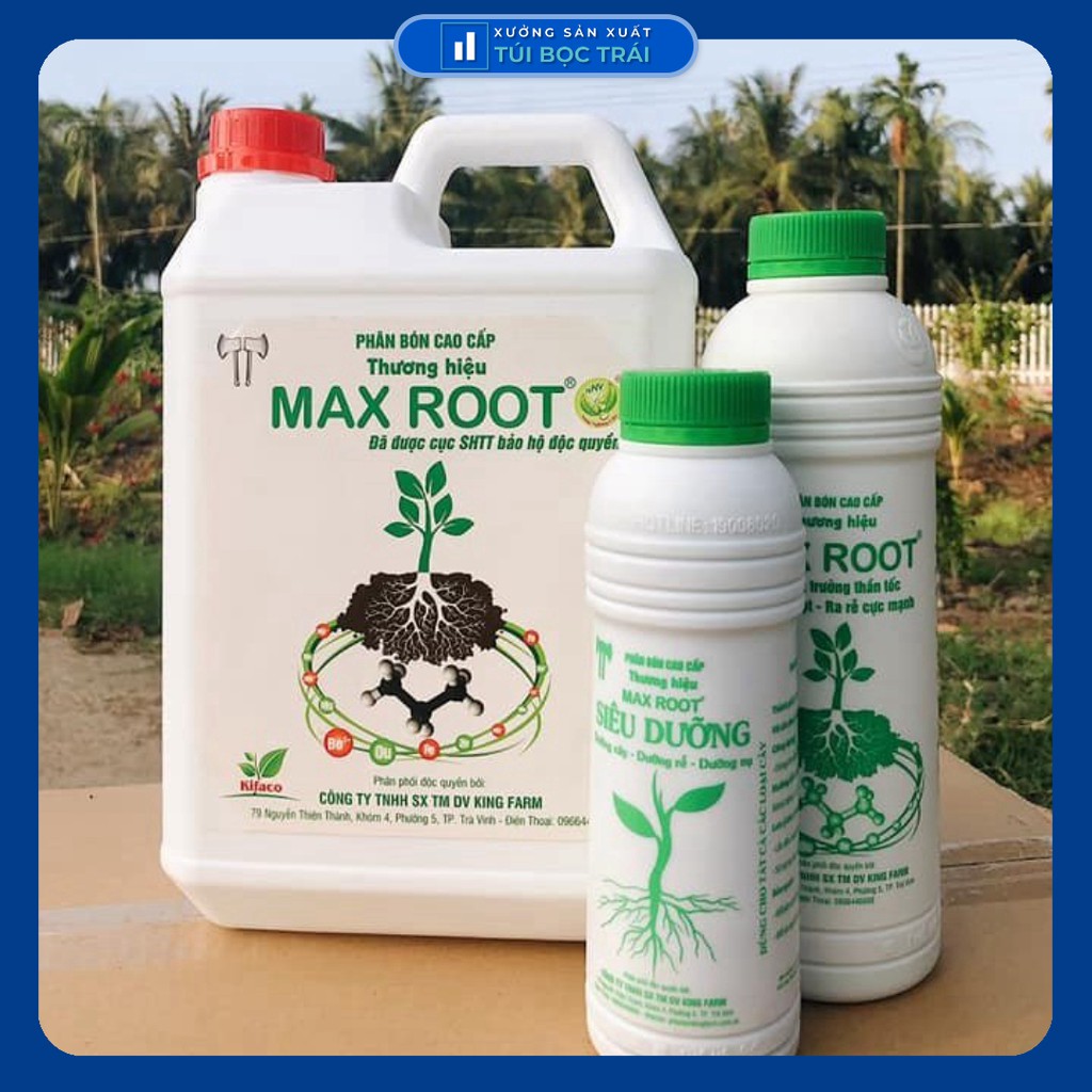 [0.5l] MAX ROOT - Kích bung đọt, kích rễ cây cực mạnh phục hồi cho cây trồng