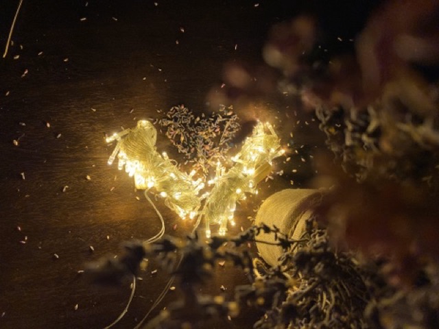 BỘ 2 DÂY ĐÈN LED 8M 50 BÓNG ĐOM ĐÓM VÀNG NẮNG KHÔNG CHỚP XÀI ĐIỆN | BigBuy360 - bigbuy360.vn