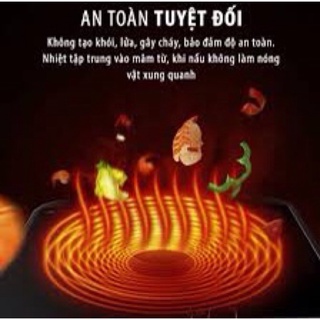 Bếp từ Sato- Nhật