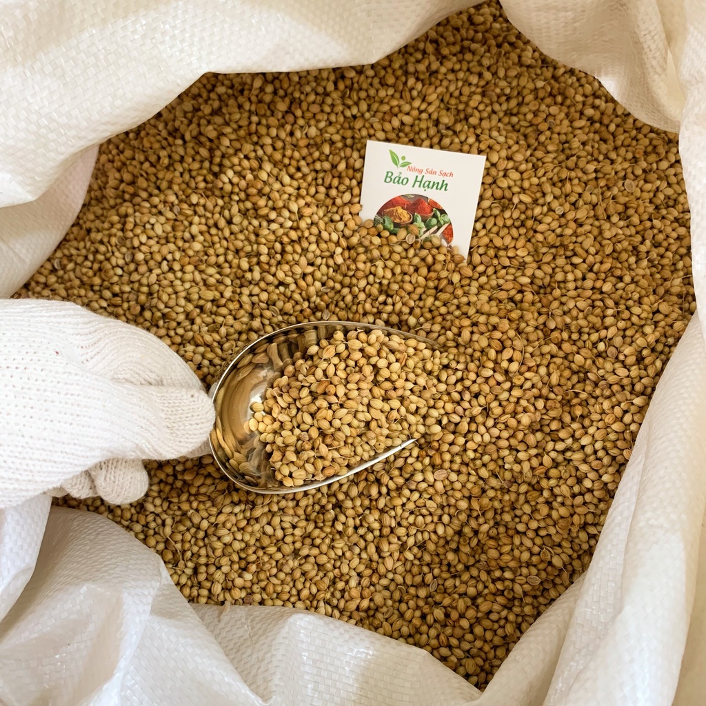 Hạt ngò hạt mùi ta 200gr Coriander Whole BH Spices gia vị nấu phở BHS019