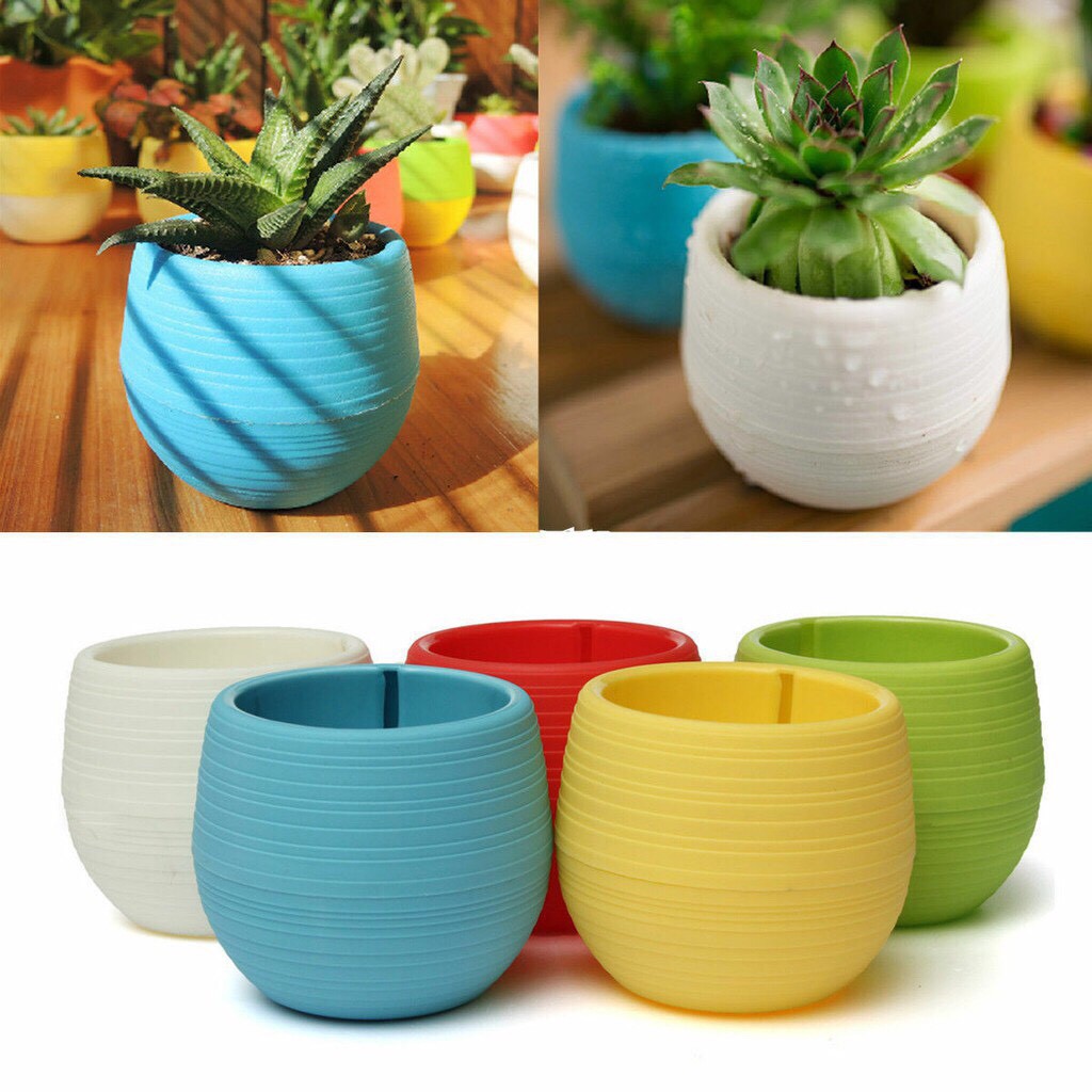 CHẬU NHỰA CHỐNG ÚNG TRỒNG CỎ MÈO, SEN ĐÁ TRANG TRÍ BÀN LÀM VIỆC