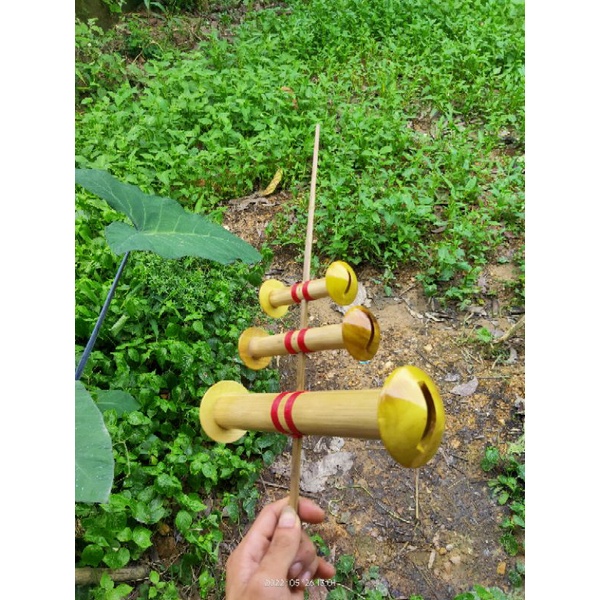 Cồng  còi  d30--35